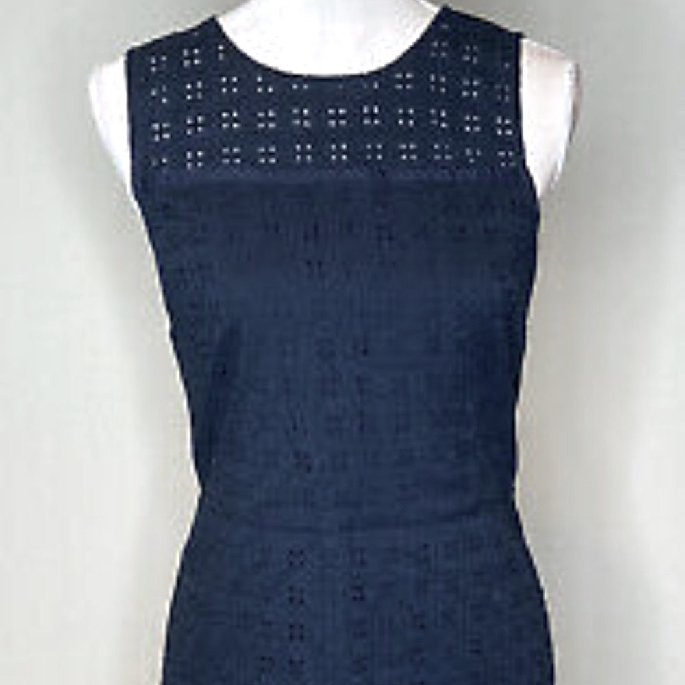 Navy Eyelet Dress, Banana Republic (10)